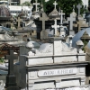 Buenos Aires - Cementery La Recoleta  033